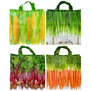 Shop Bag Veg design